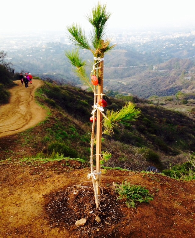 I Thought You Said&nbsp;Rum…